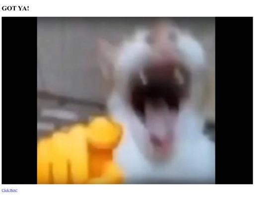 gotya screenshot