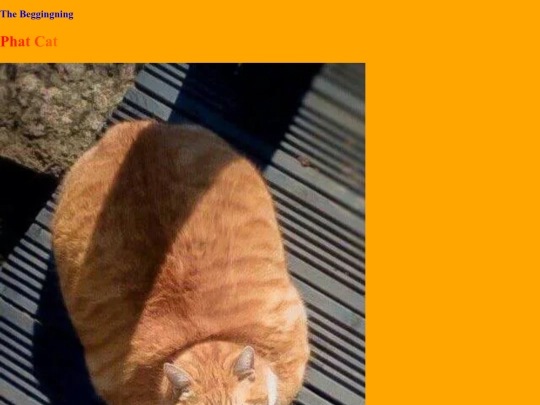 PhatCat1 screenshot