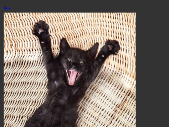 PhatCat10 screenshot
