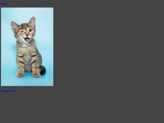 PhatCat12 screenshot