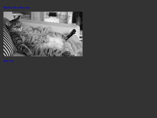 PhatCat4 screenshot