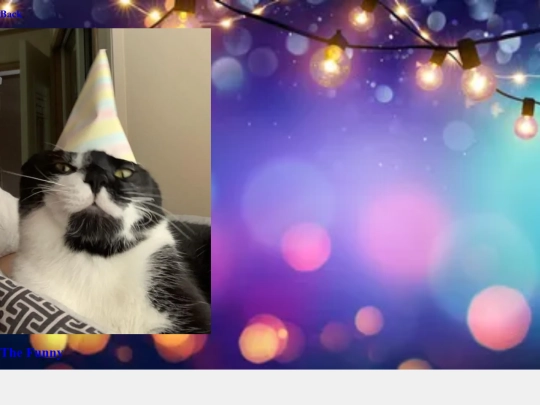 PhatCat8 screenshot