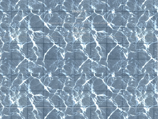 video screenshot