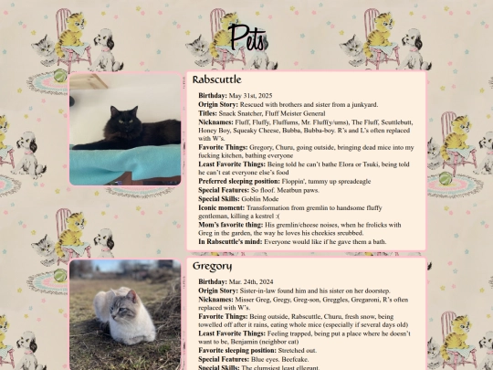 pets/pets screenshot