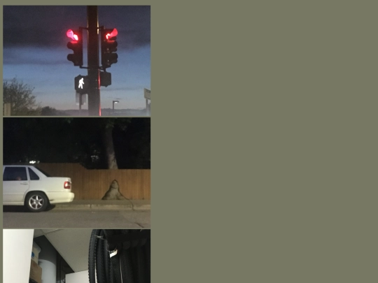 photos screenshot