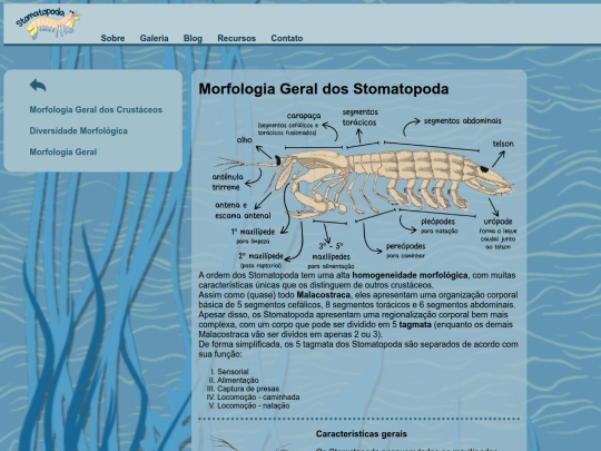 morfologia screenshot