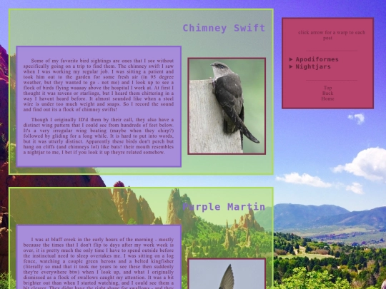 other-birds screenshot
