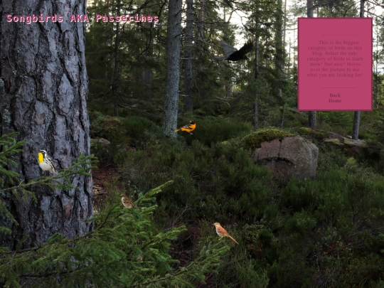songbirds screenshot