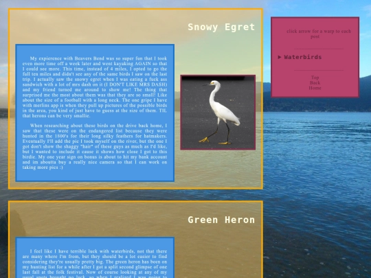 waterbirds screenshot