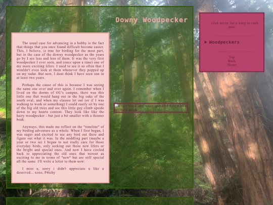 woodpeckers screenshot