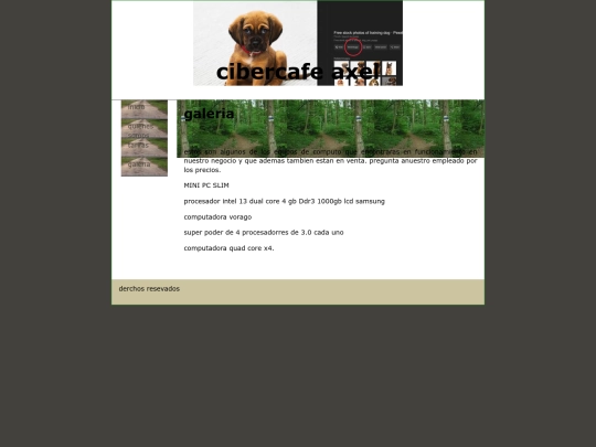 paginas/galerias screenshot