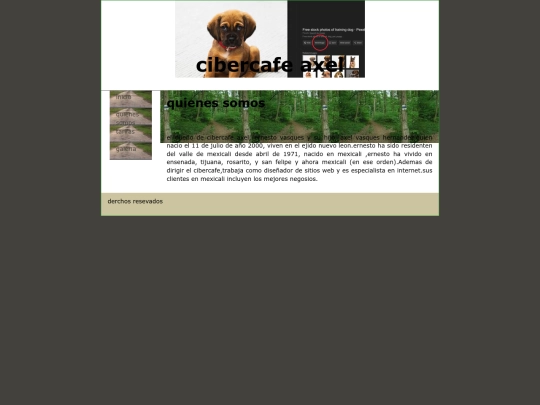 paginas/quienes somos screenshot