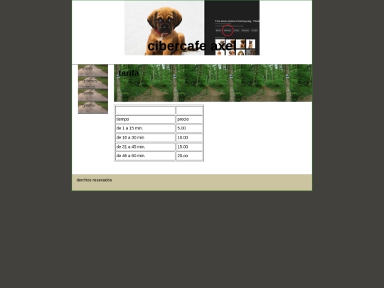 paginas/tarifas screenshot