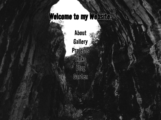 gallery-protect screenshot