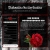 death-and-beauty.yorniq.xyz avatar