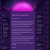 reticentmeow.yorniq.xyz avatar