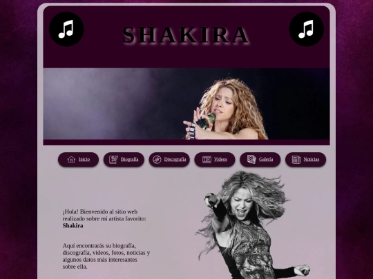 artista/inicio screenshot