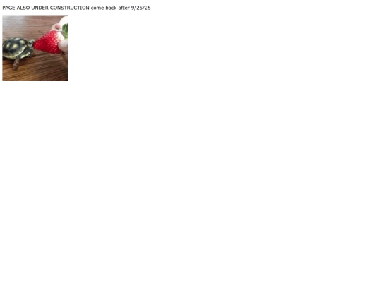 articles screenshot
