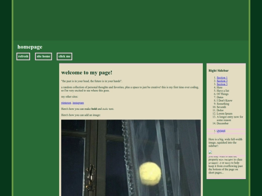 1st blog attempt/bloggin screenshot