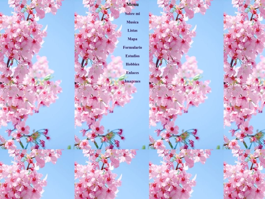 menu screenshot