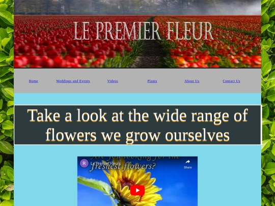 video page 1 screenshot