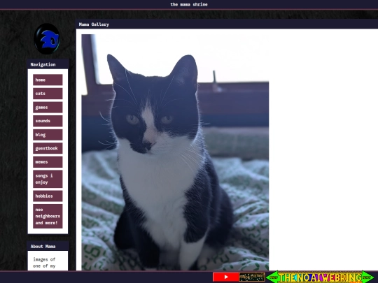 cats screenshot
