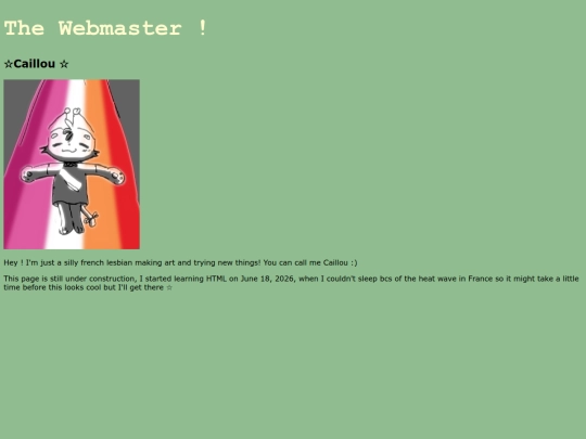 webmaster screenshot