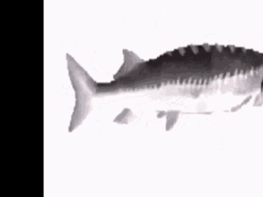 badtothebonefish screenshot