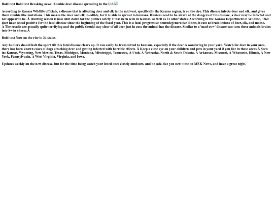 My news website screenshot