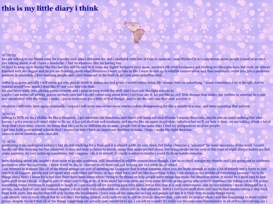 output screenshot