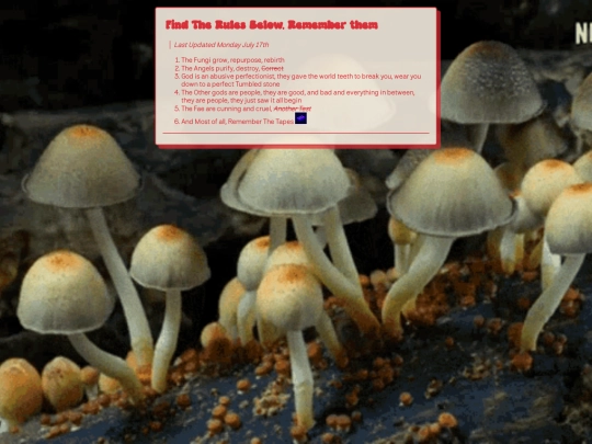 The-Rules screenshot