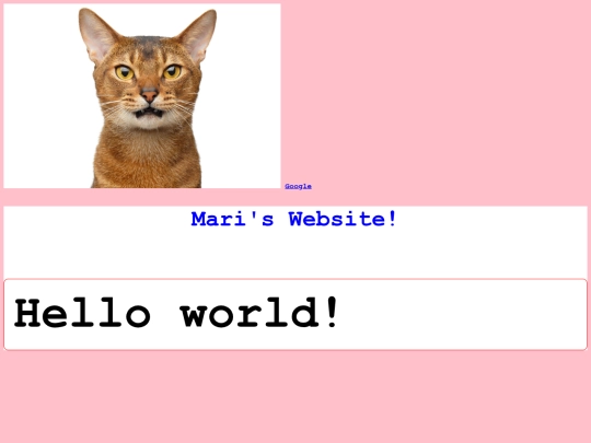 demo screenshot
