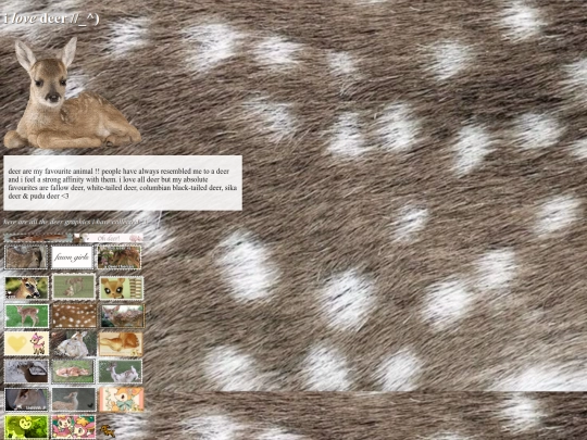 deer screenshot