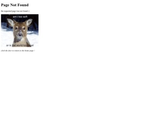 not_found screenshot