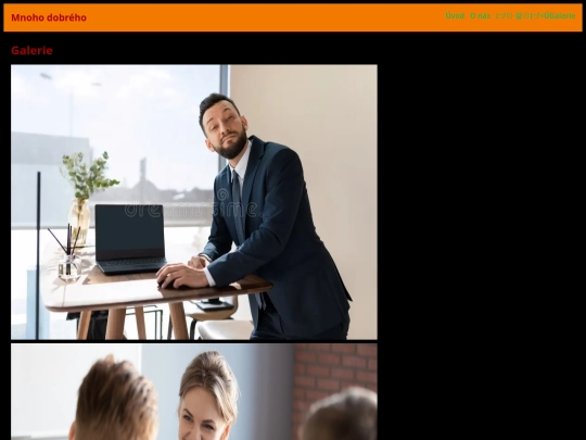 galeriestfu screenshot