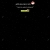 applesncatz.yorniq.xyz avatar