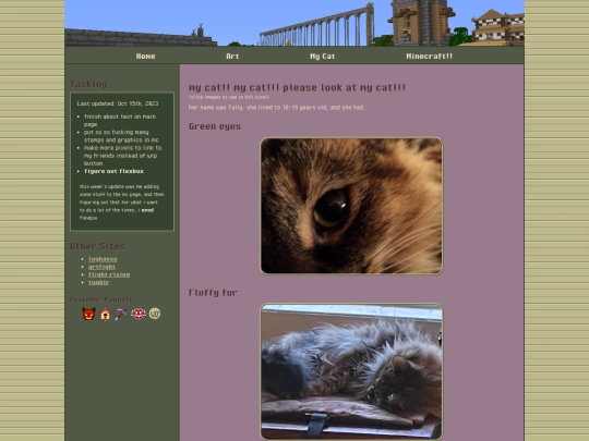 tally screenshot