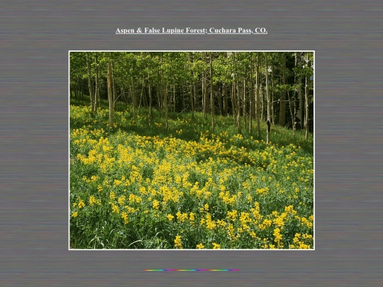 SamplePhotos/PY screenshot