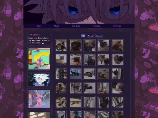 gallery screenshot