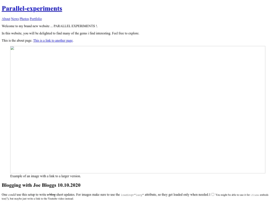 parallel-experiment_website screenshot