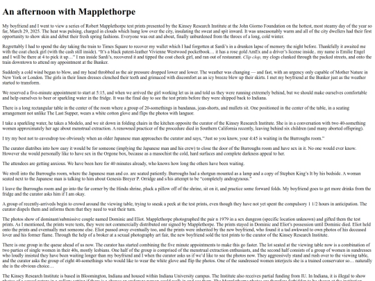 mapplethorpe screenshot
