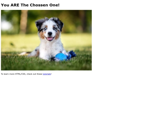 DONOTUSE screenshot