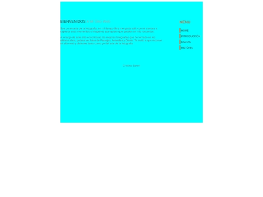 TIC4/opcion2 screenshot