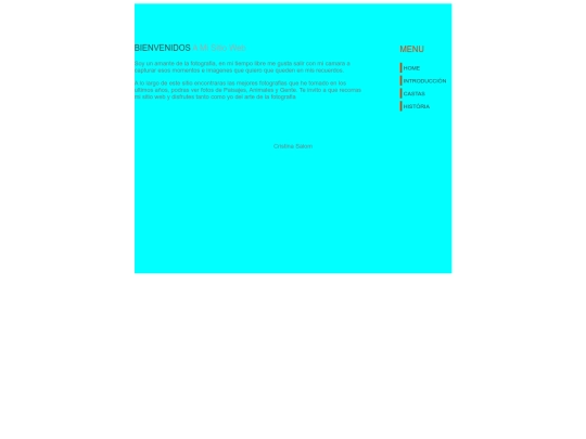 TIC4/opcion3 screenshot
