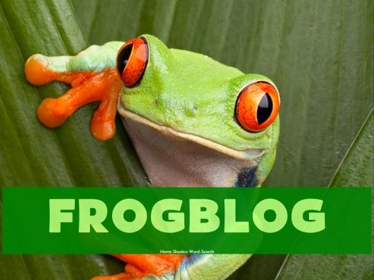 blog/frogblog screenshot