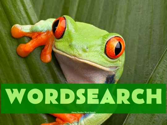 blog/wordsearch screenshot
