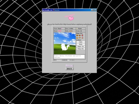 kitty screenshot