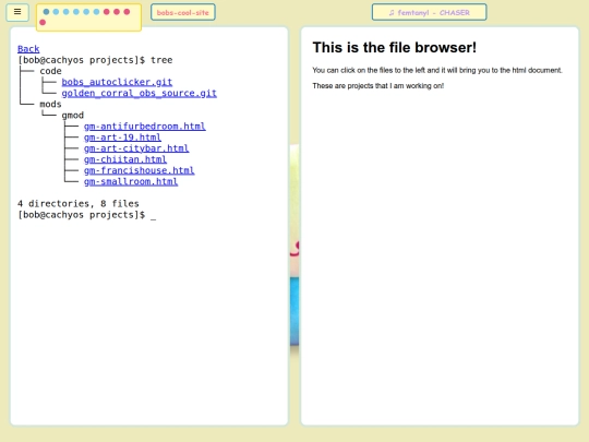 files/projects screenshot