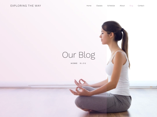 blog screenshot