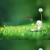 panda001.yorniq.xyz avatar